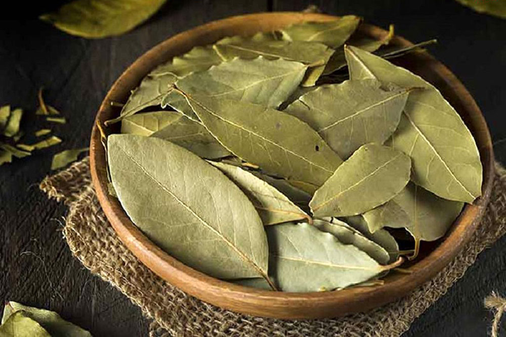 خواص گیاه برگ بو