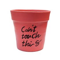 گلدان سفالی گلبهی