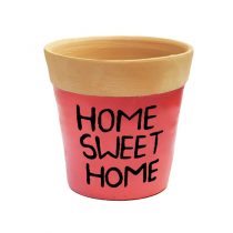 گلدان سفالی گلبهی