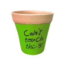 گلدان سفالی سبز روشن